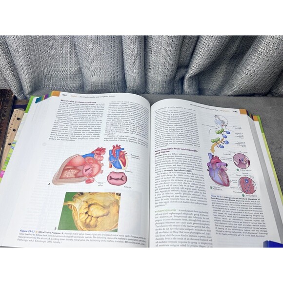 Understanding Pathophysiology 4th Edition CD included Hardback Book Mosby - Picture 8 of 9